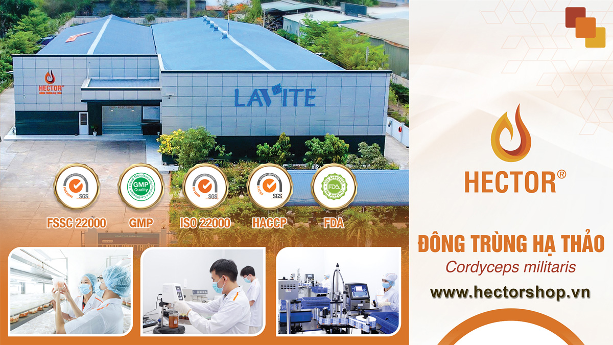 Nhà phân phối Đông Trùng Hạ Thảo Hector Shop