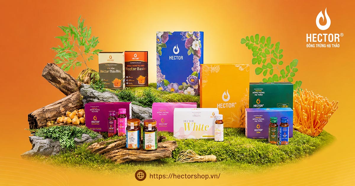 Hector | Thương Hiệu Đông Trùng Hạ Thảo Của Lavite